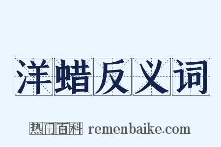 洋蜡反义词是什么意思的图片